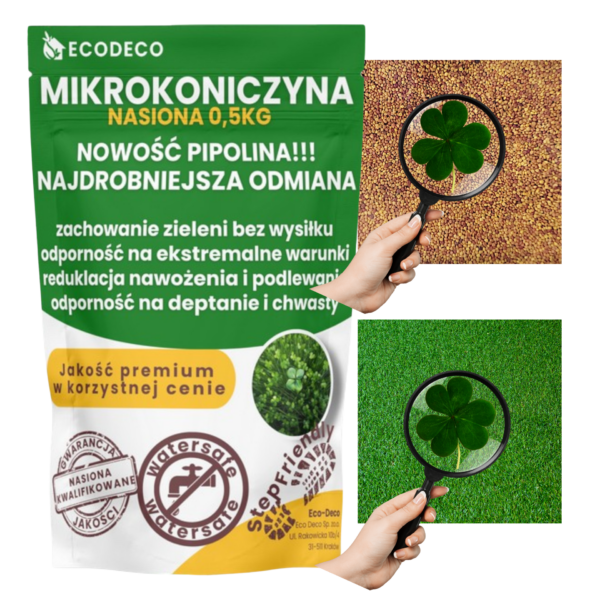 mikrokoniczna nasiona