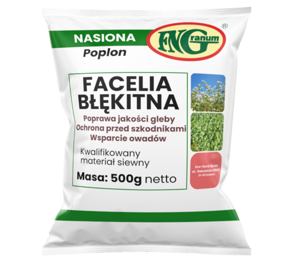 Nasiona Facelii Błękitnej na poplon