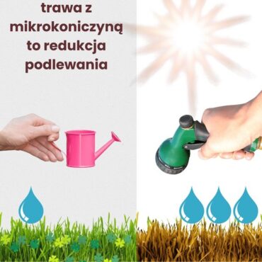 mikrokoniczyna nasiona 1kg