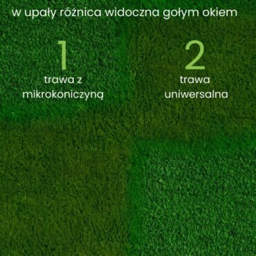 mikrokoniczyna nasiona 1kg