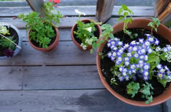 kwietniki drewniane na balkon