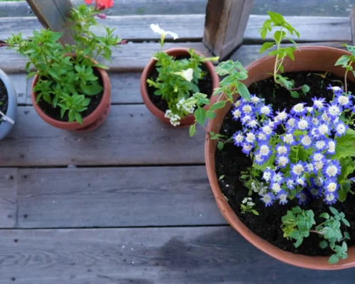 kwietniki drewniane na balkon