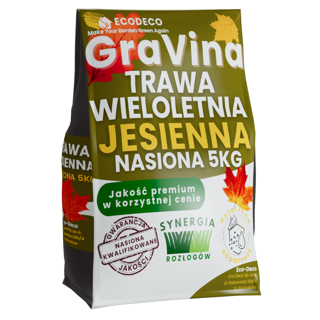 trawa siew jesienny