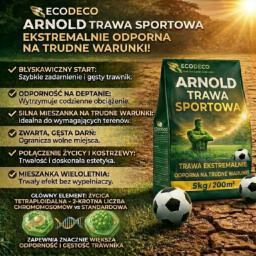 trawa odporna na deptanie