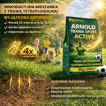 trawa odporna na deptanie
