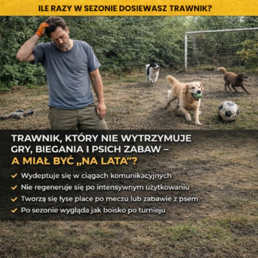 trawa odporna na deptanie