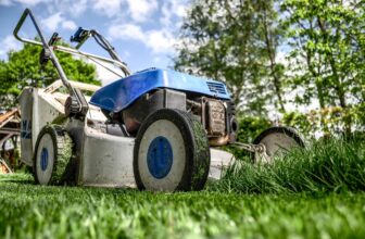 Trawa w cieniu drzew – jak dbać o darń w miejscach z ograniczonym dostępem światła?